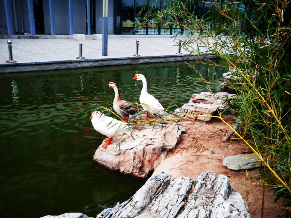 SuibianFotografieMeetsKutlur_Beijing2011-Image29