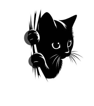 blackcat